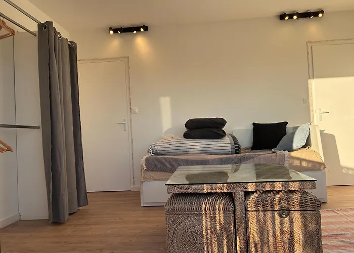Avec Salle De Bain, Cuisine, Balcon, Clim Et Parking Prive ,bordeaux Centre Nansouty 波尔多